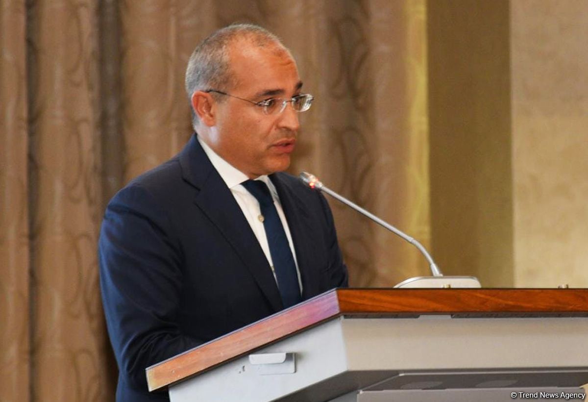Сотрудничество между Азербайджаном и Словакией укрепляется - министр