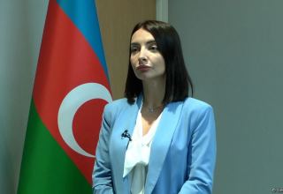 Лейла Абдуллаева прокомментировала антиазербайджанскую резолюцию Национальной ассамблеи Франции