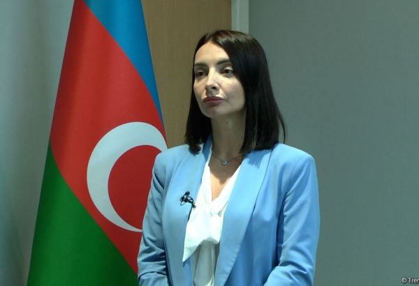 Восстановление диалога между Баку и Ереваном -  единственный способ достижения устойчивого мира в регионе  - Лейла Абдуллаева
