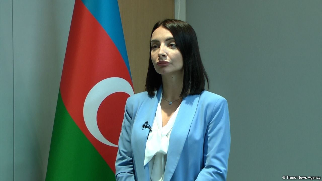 Newly appointed ambassador promises to assist dev't of Azerbaijan-France relations