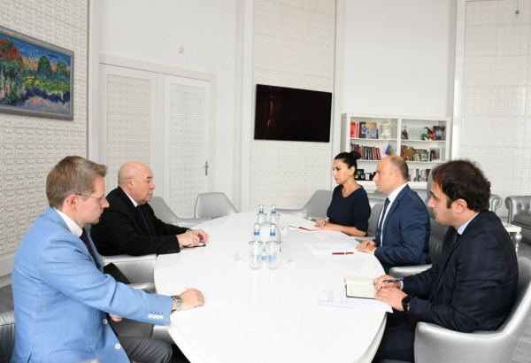 Министр культуры Азербайджана встретился со спецпредставителем Президента России (ФОТО)