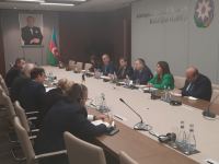 Armenia consistently violated ceasefire to hamper peace process - Azerbaijani MFA (PHOTO)