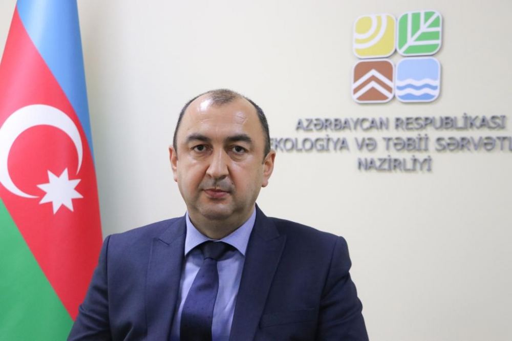 Замминистра Азербайджана о пожарах, устроенных армянами в направлении Ходжалы