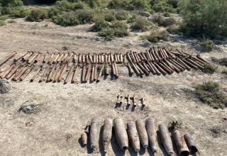 В сумгайытском поселке найдены боеснаряды (ФОТО/ВИДЕО)