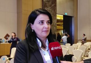 Azerbaijan talks main directions of tourism development