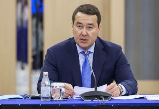Kazakhstan shows interest in implementing joint projects with Turkish companies - PM