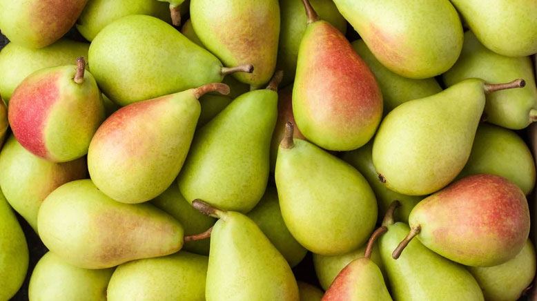 Uzbekistan reveals volume of pears expected to be harvested in 2022