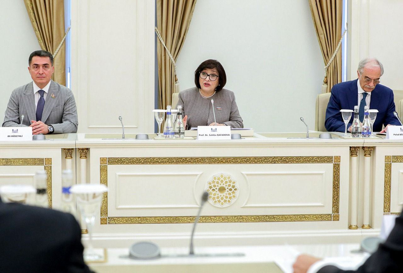 Sahibə Qafarova Rusiya Dövlət Dumasının sədri ilə görüşüb (FOTO)