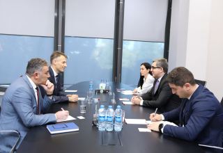 Обсуждены возможности проведения азербайджано-австрийского бизнес-форума