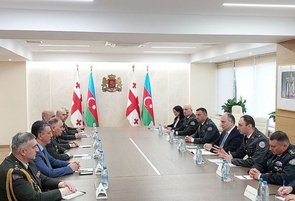 Chief of general staff of Azerbaijani army meets with Georgian minister of defense (PHOTO)