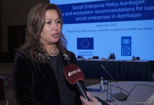 Social entrepreneurship significantly contributes to Azerbaijan's economy - UNDP