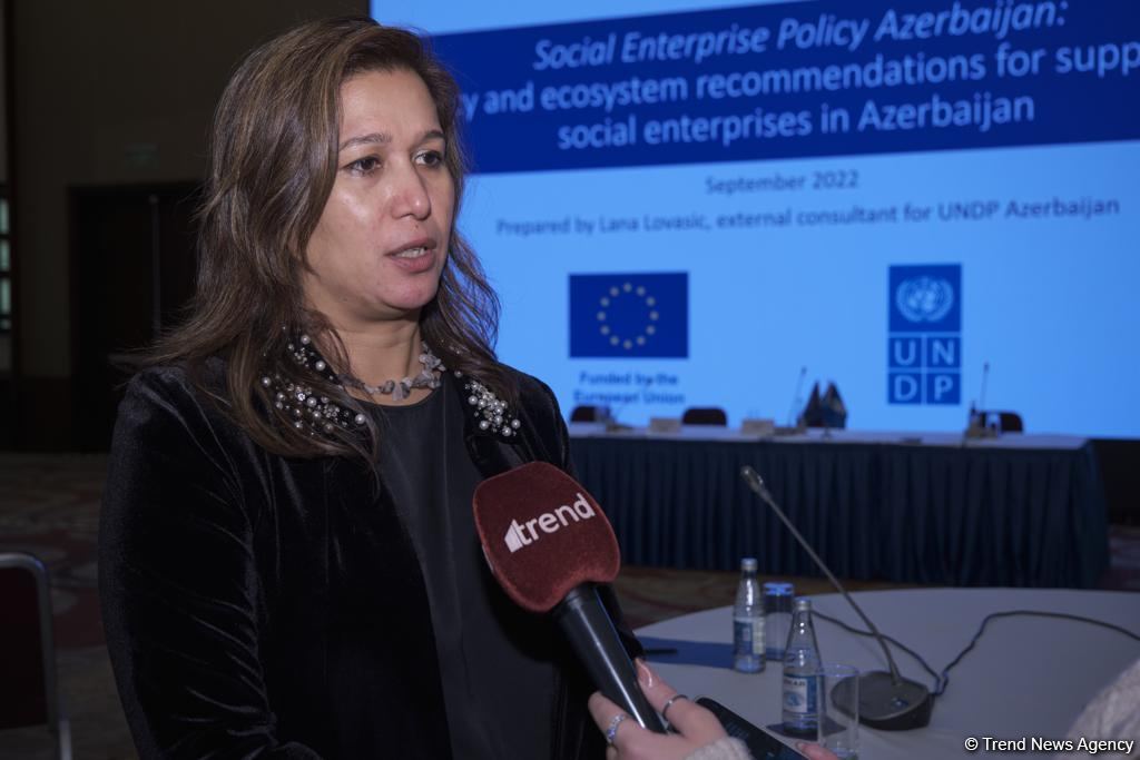 Social entrepreneurship significantly contributes to Azerbaijan's economy - UNDP