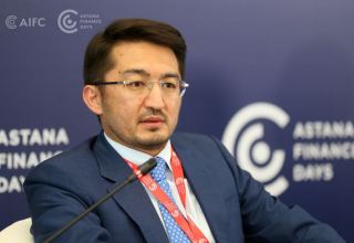 Civilized taxation needs to be applied to mining industry - Kazakh vice minister