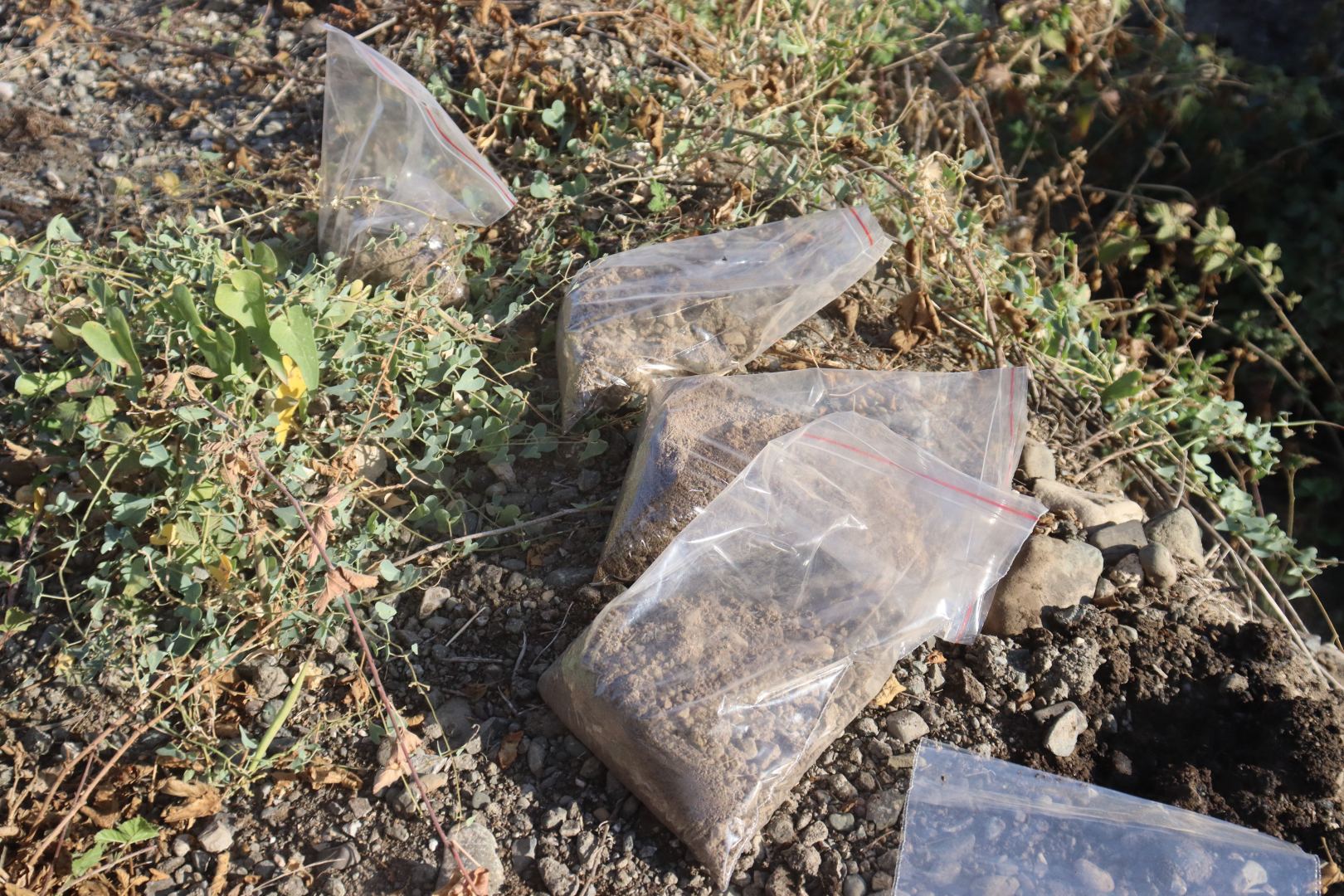 “Füzuli Mərkəzi Park”ın torpaq nümunələri Türkiyədə laboratoriya analizindən keçiriləcək (FOTO)