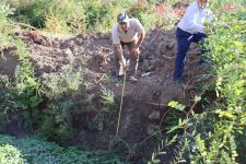 Образцы почвы создаваемого в Физули паркового комплекса будут исследованы в турецкой лаборатории (ФОТО)