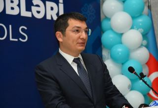 Azərbaycanın qeyri-neft sektoruna investisiya qoyuluşunda Türkiyə birinci yerdədir - Nazir müavini