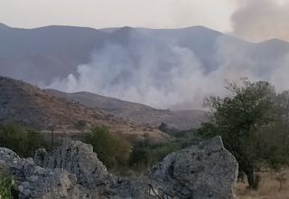 Армяне совершили пожар в Ходжалинском районе