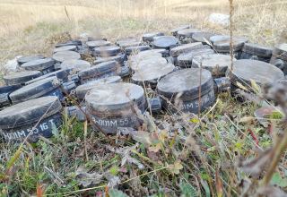 Azerbaijan neutralizes mines laid by Armenian saboteurs in Dashkasan to commit provocation (PHOTO)