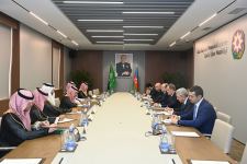 В МИД Азербайджана обсудили сотрудничество с Саудовской Аравией (ФОТО)