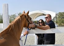 Президент Ильхам Алиев и Первая леди Мехрибан Алиева приняли участие в церемонии закладки фундамента Центра племенного коневодства в Агдаме (ФОТО/ВИДЕО)
