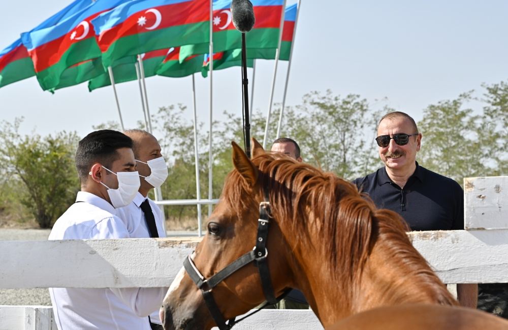 Президент Ильхам Алиев и Первая леди Мехрибан Алиева приняли участие в церемонии закладки фундамента Центра племенного коневодства в Агдаме (ФОТО/ВИДЕО)