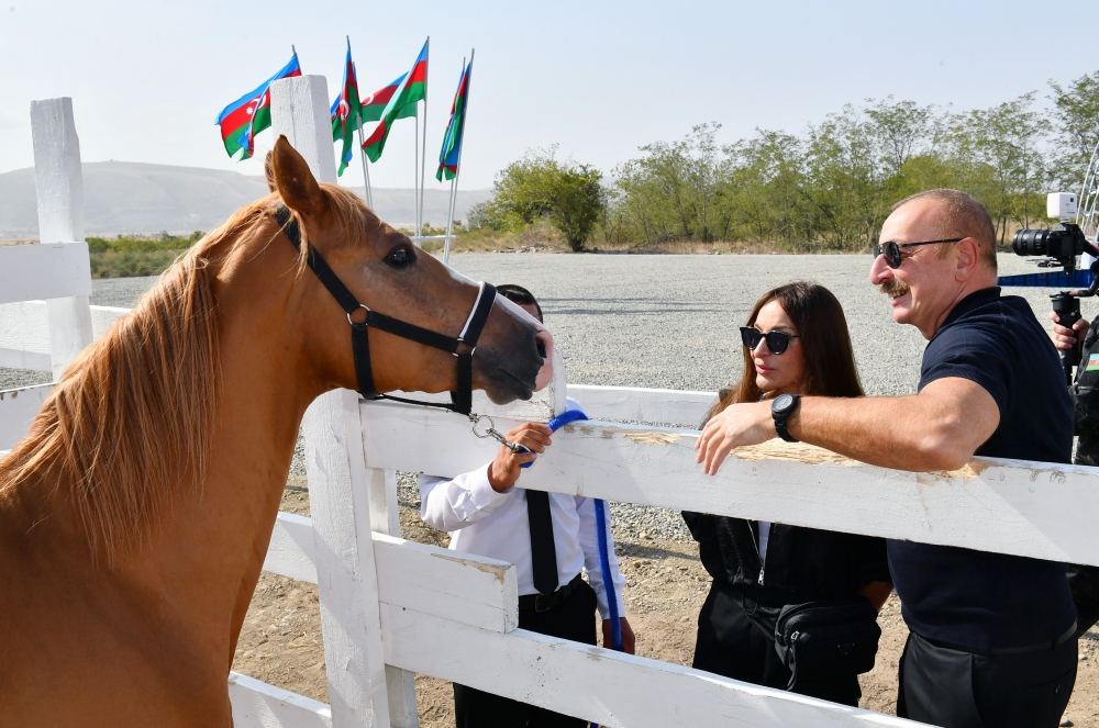 President Ilham Aliyev, First Lady Mehriban Aliyeva attend groundbreaking ceremony of Horse Breeding Center in Aghdam (PHOTO/VIDEO)