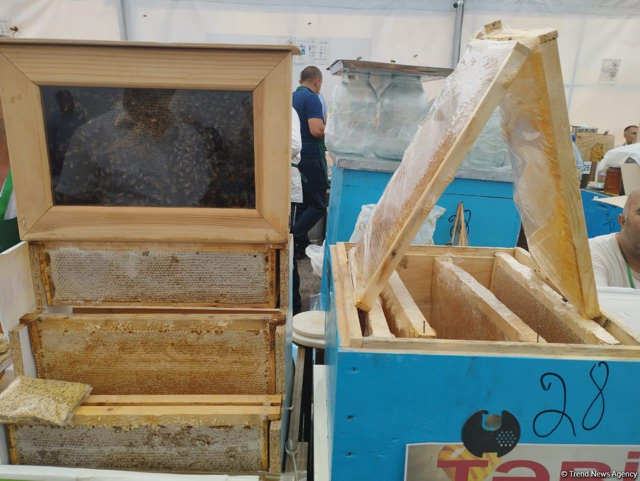 На ярмарке продукции пчеловодства в Баку представлен мед, произведенный в Восточном Зангезуре и Карабахе (ФОТО)
