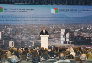 When we see some efforts to revitalize this Minsk Group, we, of course, cannot be supportive to that - President Ilham Aliyev