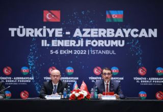 Азербайджан и Турция намерены расширить сотрудничество по проекту ЮГК - министр (ФОТО)