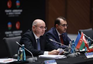 Azerbaijan reveals volume of its investment in Türkiye's economy