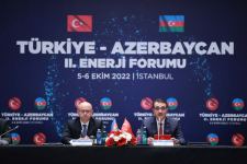 Азербайджан и Турция намерены расширить сотрудничество по проекту ЮГК - министр (ФОТО)