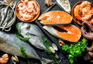 Kazakhstan sees increase in fresh fish production and decline in canned fish production