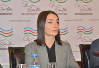 Азербайджан требует от мировой общественности усилить давление на Армению, совершившую военные преступления - Лейла Абдуллаева