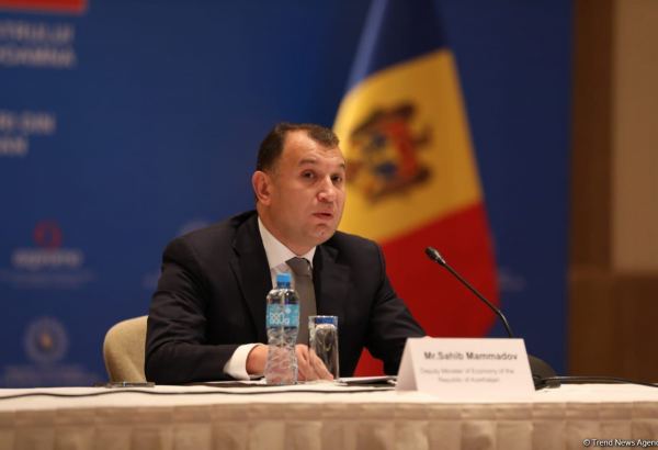 Azerbaijan, Moldova developing economic relations – official