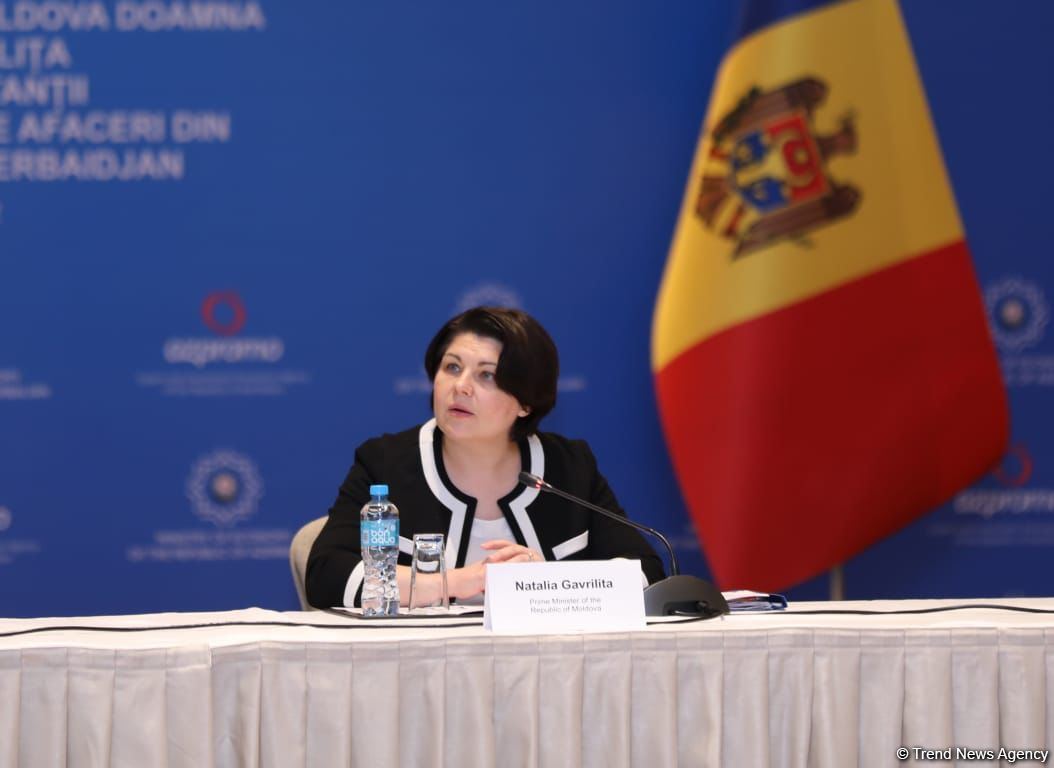 Moldova determined to deepen trade ties with Azerbaijan - Natalia Gavrilita