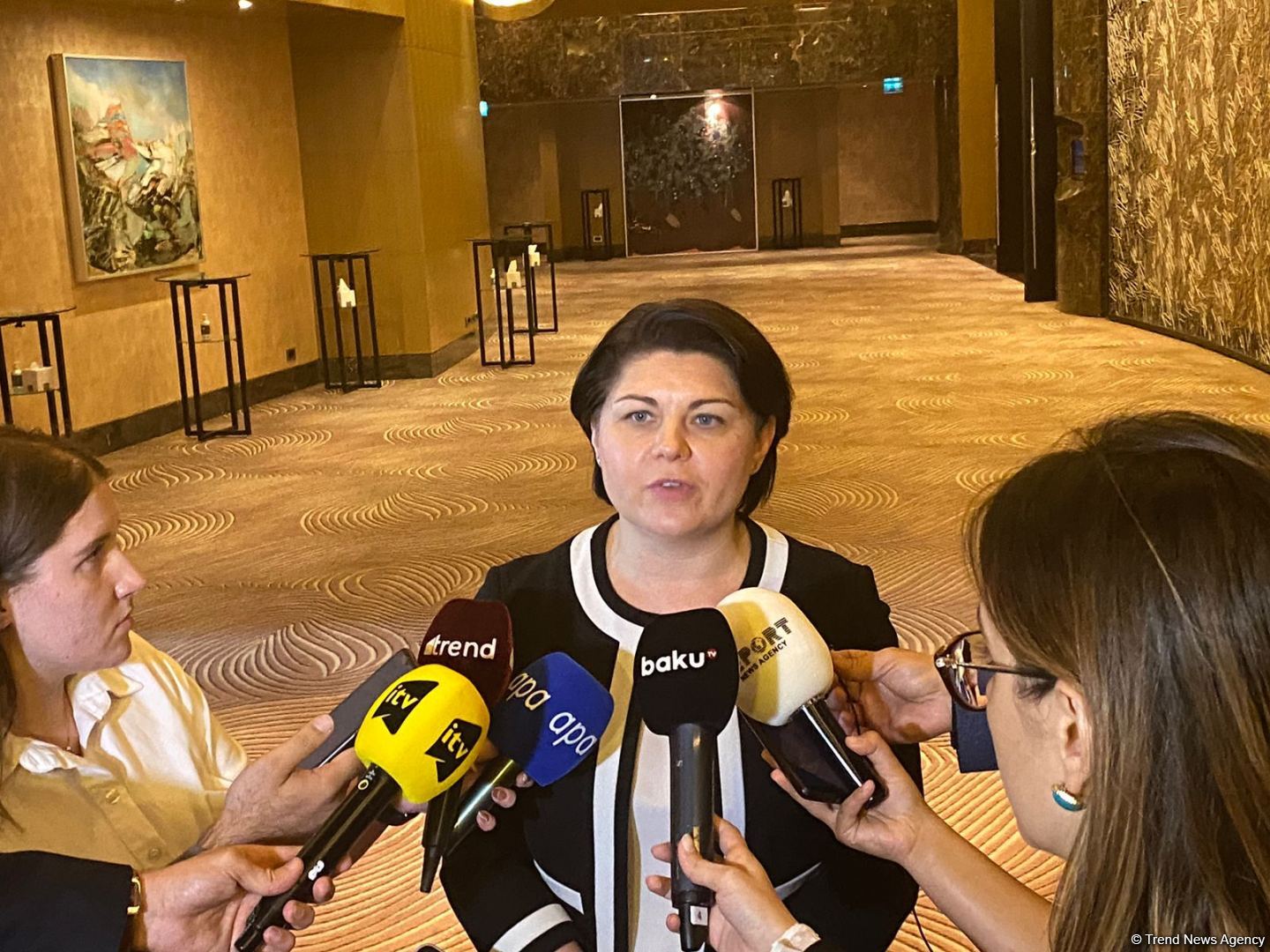 Moldovan PM talks big demand for Azerbaijani gas
