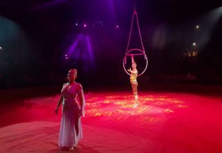 Номер с карабахскими скакунами - Бакинский цирк провел благотворительный показ для детей шехидов (ФОТО)