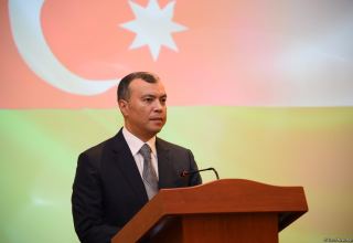 Azerbaijan, Hungary have considerable potential for business co-op – minister