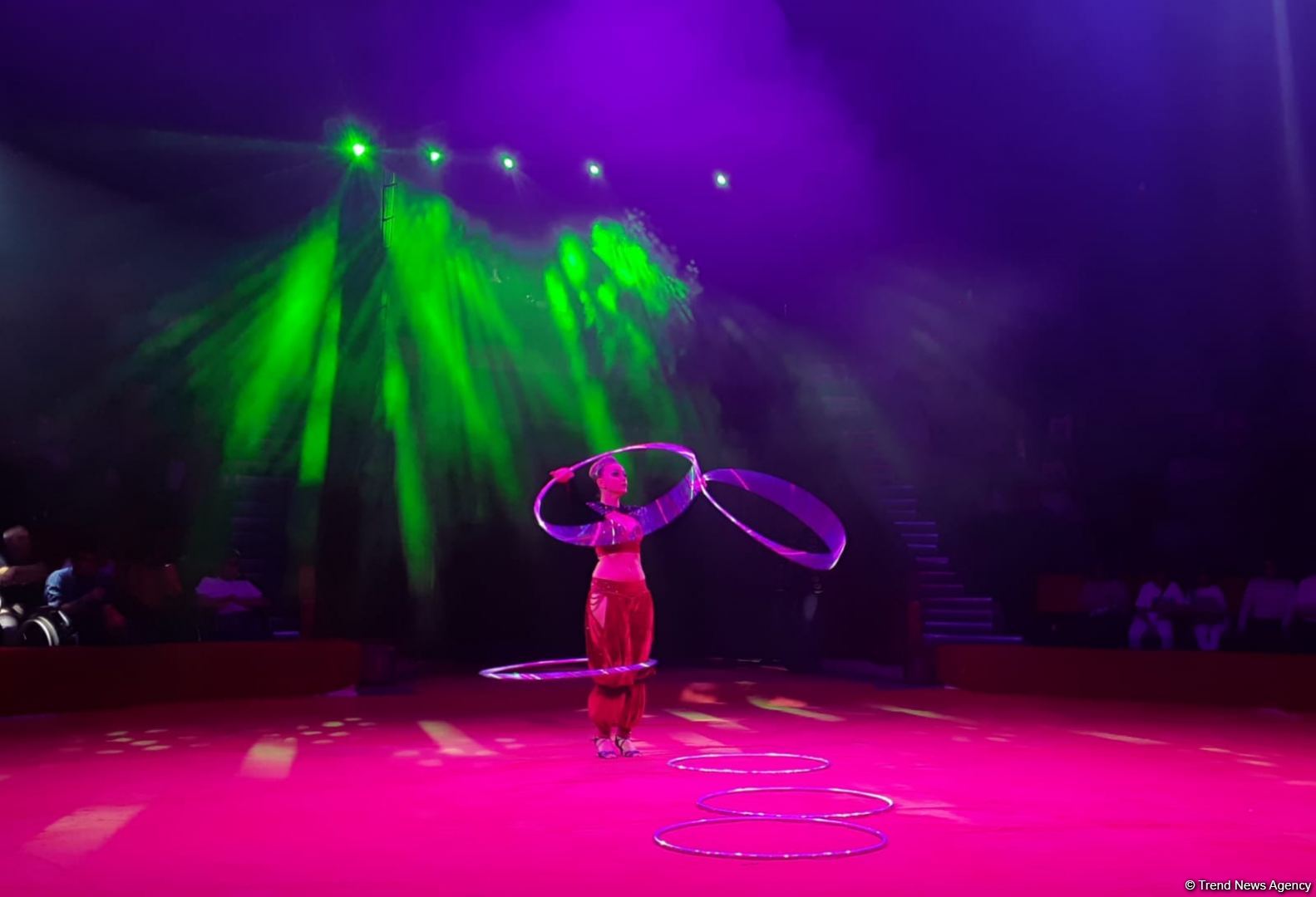 Номер с карабахскими скакунами - Бакинский цирк провел благотворительный показ для детей шехидов (ФОТО)