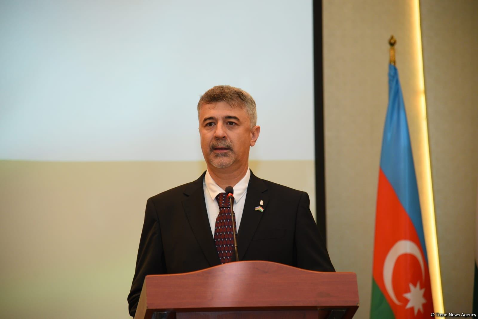 Венгрия стремится включить азербайджанский газ в свой энергетический комплекс - посол