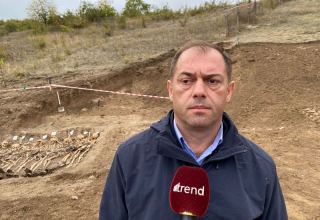 Будут проведены поиски в связи с массовыми захоронениями и на других освобожденных территориях Азербайджана - госкомиссия