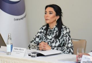 Ombudsman appeals to int'l community on destruction of Azerbaijani graves by Armenia