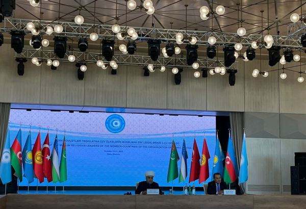 Азербайджан, возрождающий в Карабахе жизнь, демонстрирует мощь тюркского мира – председатель УМК