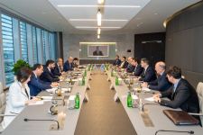 Azerbaijani and Greek ministers discuss cooperation in energy field (PHOTO)