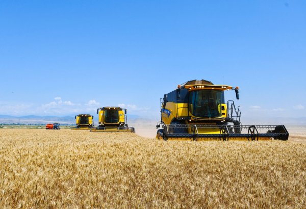Kyrgyzstan sees drop in wheat, barley harvest