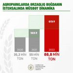 Azerbaijani agricultural parks significantly increase production of wheat - minister (PHOTO)