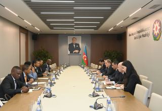 Обсуждено политическое сотрудничество между Азербайджаном и ЮАР (ФОТО)