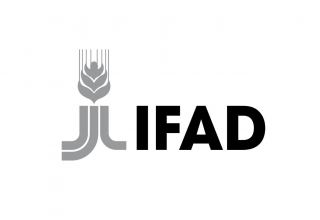 IFAD discloses investments needed in global rural dev't