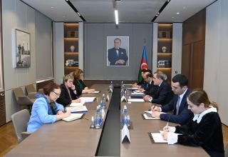 Финляндия поддерживает процесс нормализации отношений между Азербайджаном и Арменией - госсекретарь (ФОТО