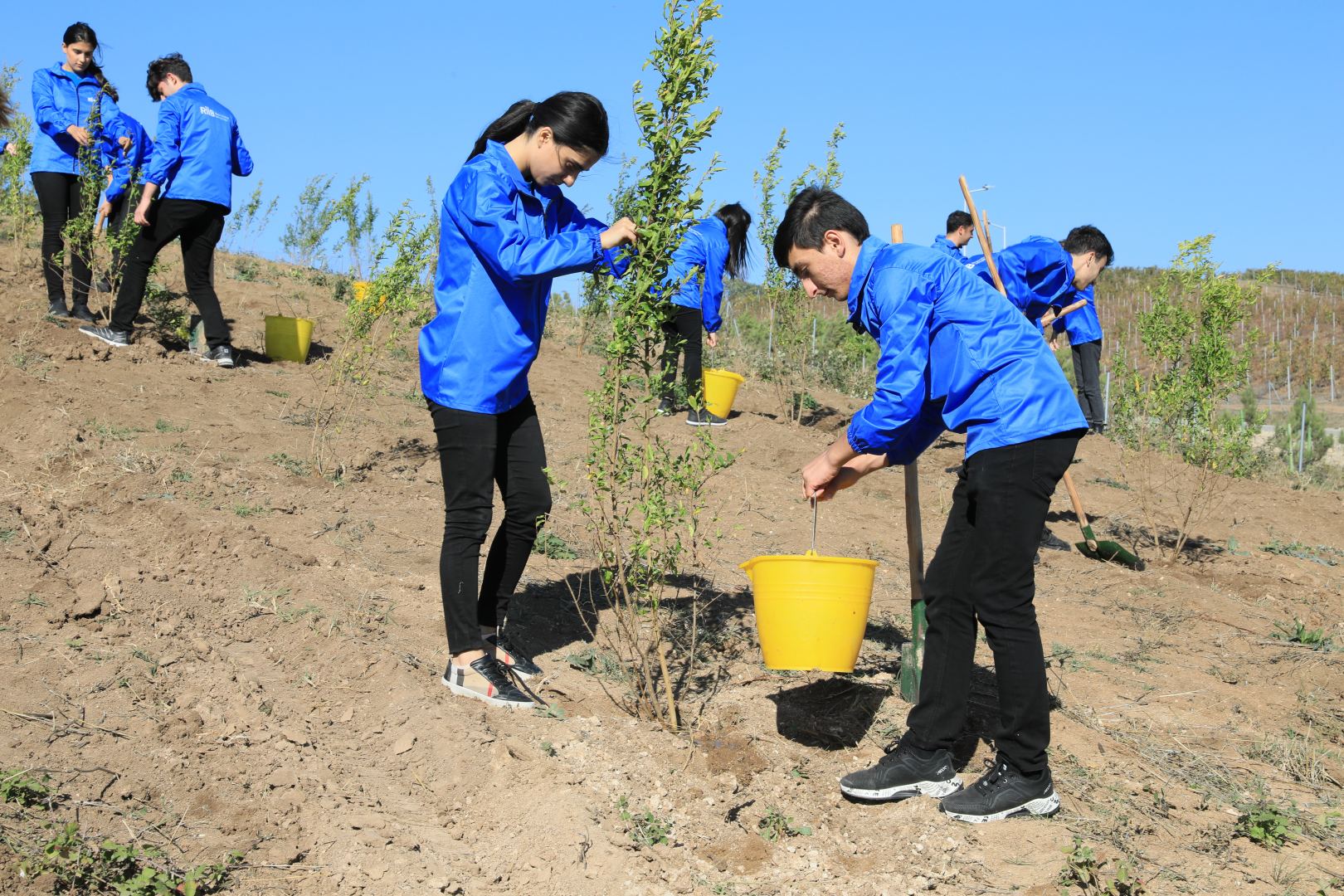 Tree planting campaign held in Azerbaijan's Shamakhi following Heydar Aliyev Foundation's initiative (PHOTO/VIDEO)